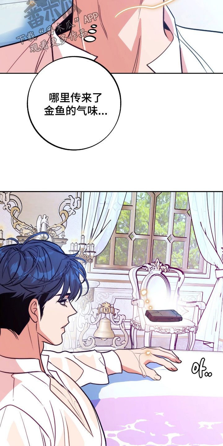 第26章：金鱼的气味0