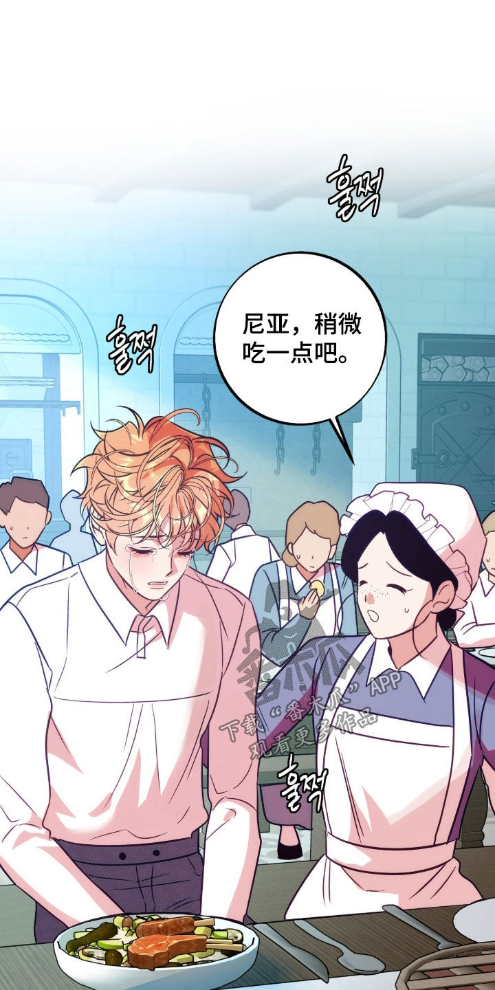 第26章：金鱼的气味0