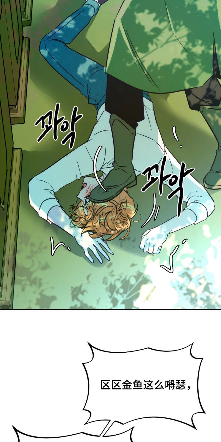少爷的金鱼仆从漫画,第27章：不想忘记4图