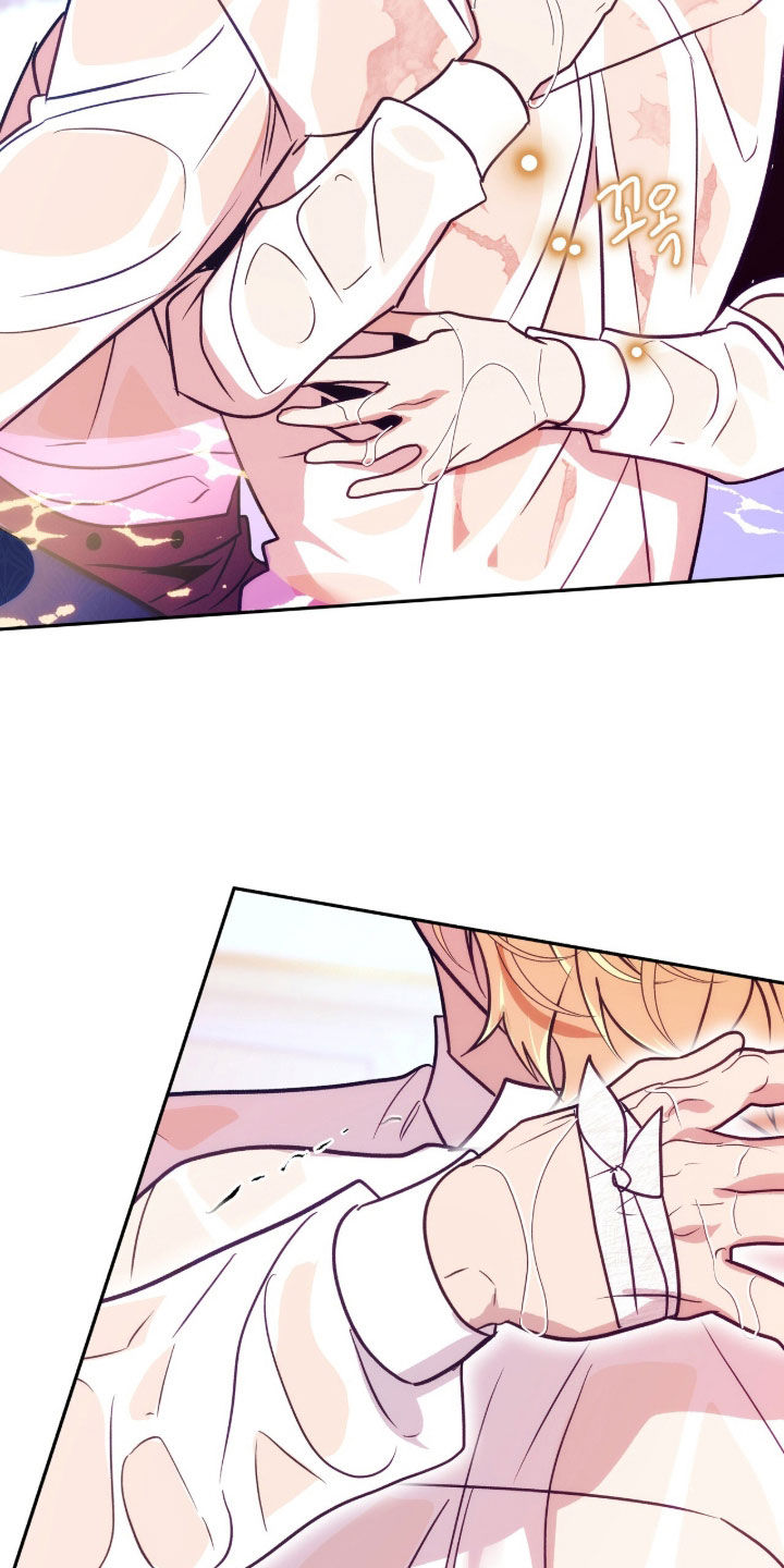 第26章：金鱼的气味3