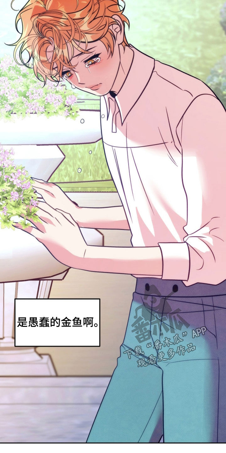 少爷的金鱼仆从漫画,第29章：长假4图