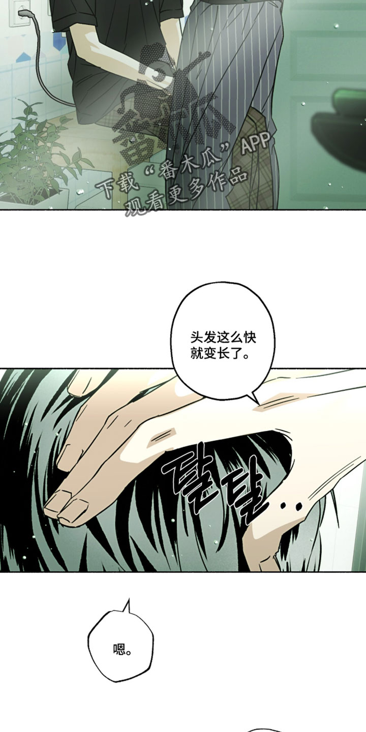 梦想真男孩漫画,第32章：不能感冒了5图