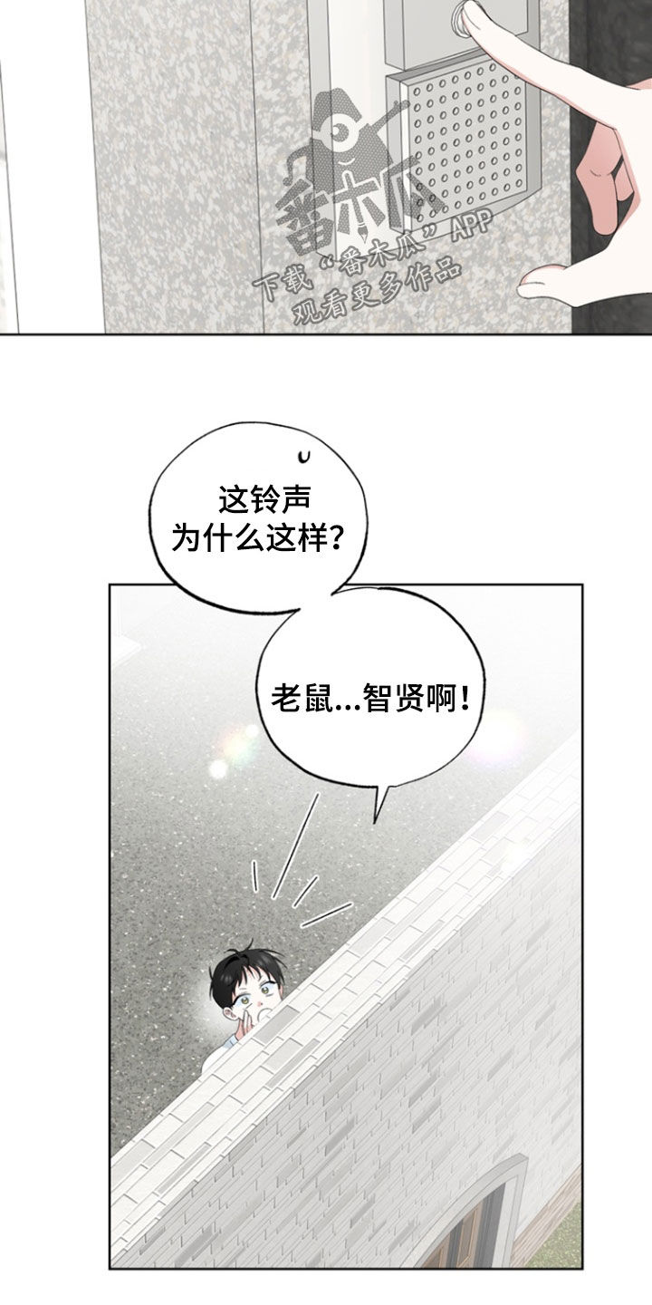 我的老鼠学长详细结局漫画,第18章：兴师问罪3图