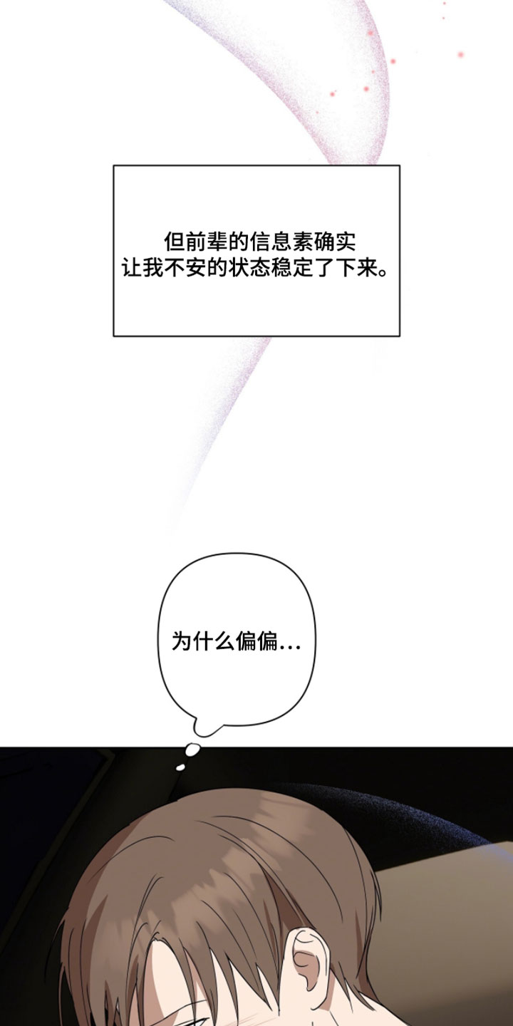 樱雨如初小说人物介绍漫画,第18章：早就结束了4图