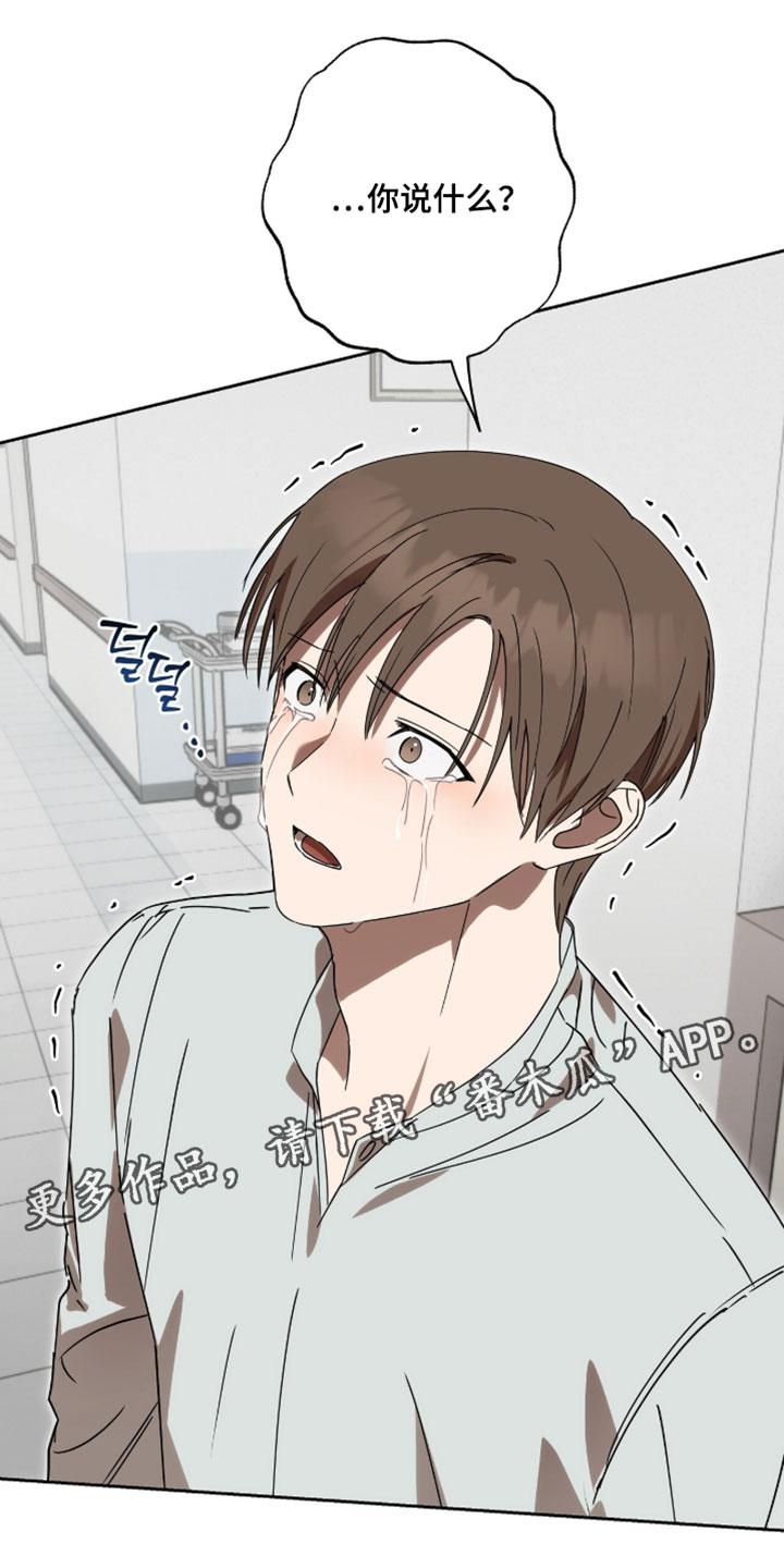 樱花如若初舞漫画,第21章：失踪2图