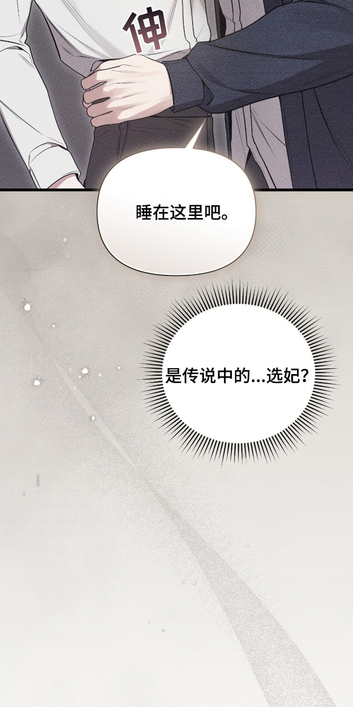 它的尺寸的英语漫画,第6章：选妃1图
