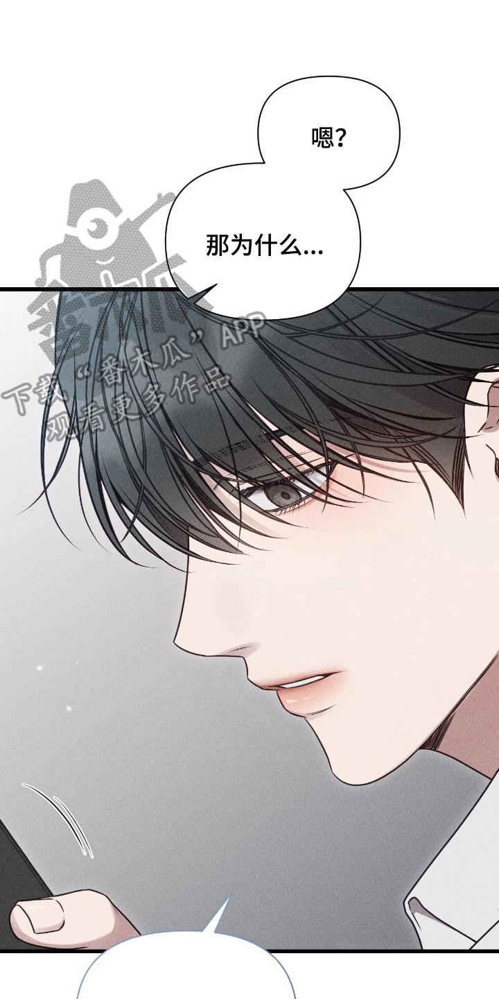 它的尺寸是多少用英语怎么说漫画,第20章：联系方式5图