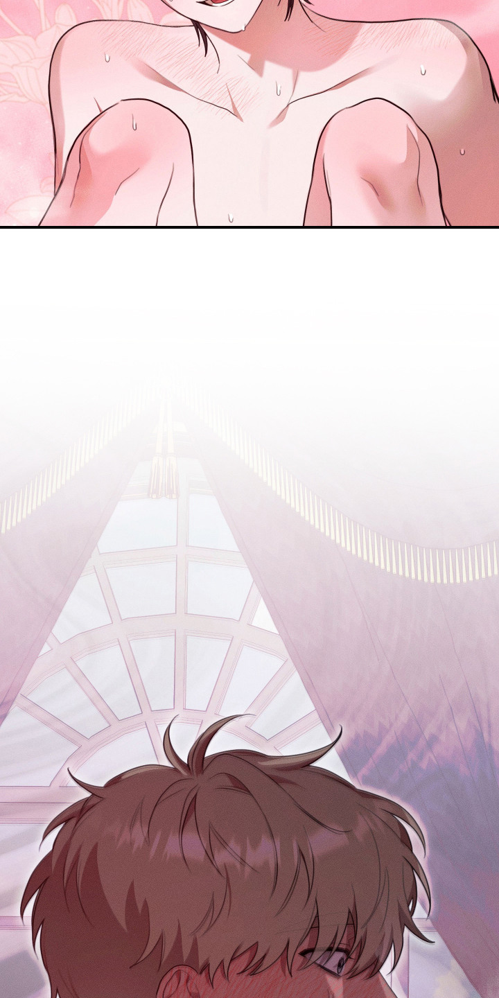 恶魔的邀约漫画,第11章：失去理智1图