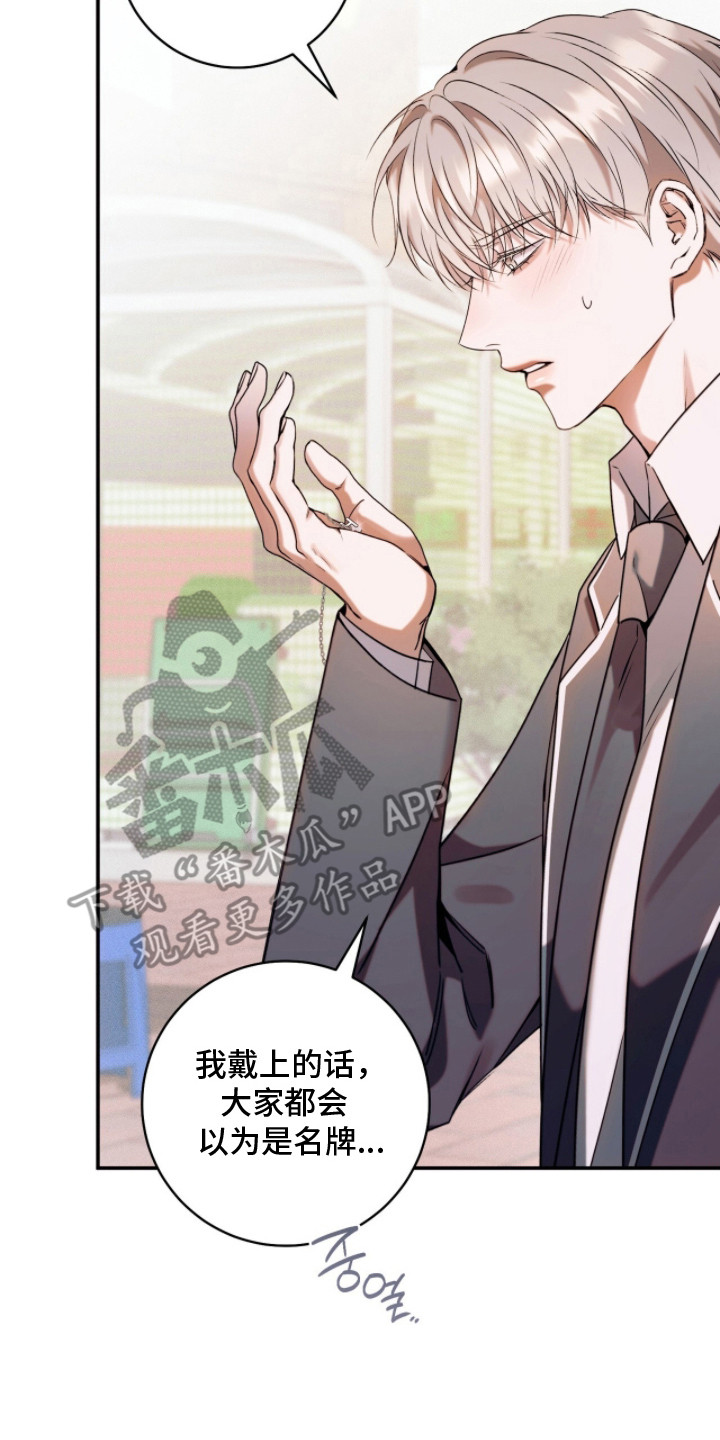 无法言说的思念啥意思漫画,第20章：礼物4图