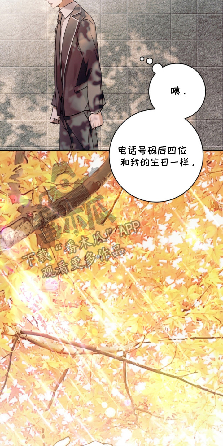 无法言说的爱作文漫画,第20章：礼物3图