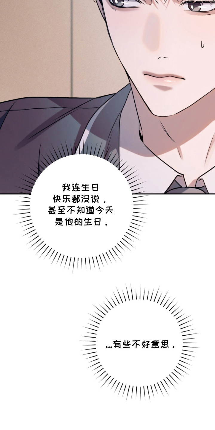 无法言说的思念啥意思漫画,第19章：生日1图