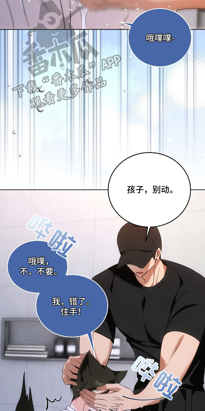 我的黑猫少年漫画,第16章：不情不愿4图