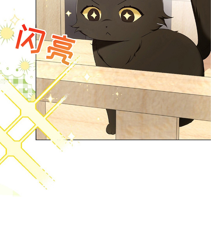 我的黑色小短裙漫画,第20章：忙碌3图