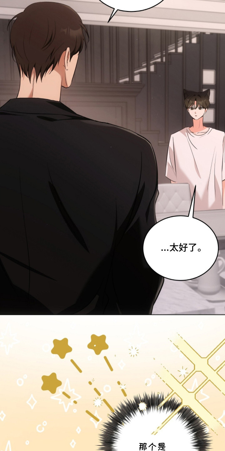 我的黑猫少年解析漫画,第17章：下意识2图