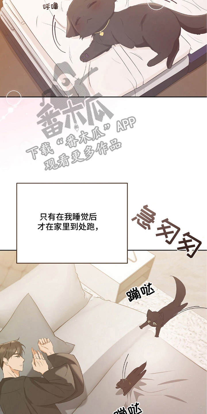 我的黑色小短裙漫画,第9章：头疼3图