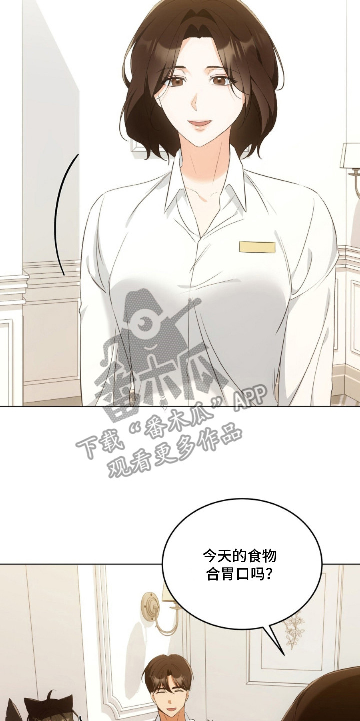 我的黑猫少年解析漫画,第23章：约会2图
