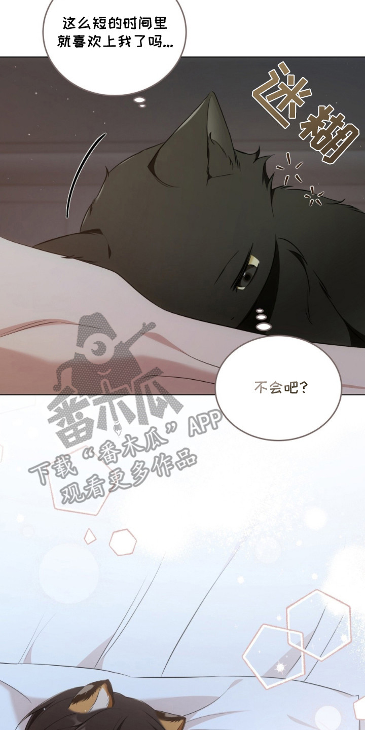 我的黑猫少年解析漫画,第17章：下意识2图