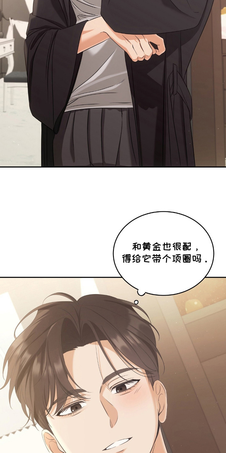 第4章：适应新领域4