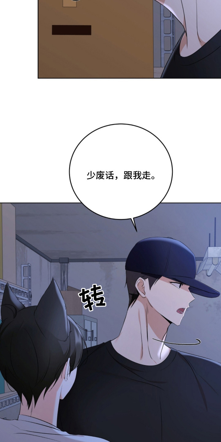 我的黑猫少年漫画,第12章：解决问题1图