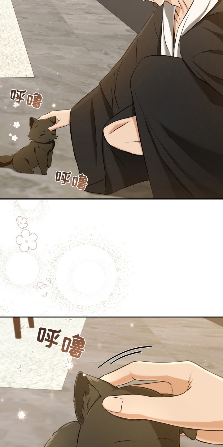 第4章：适应新领域3