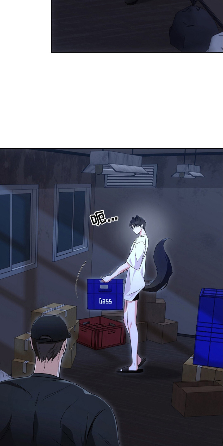 我的黑猫少年解析漫画,第10章：新闻舆论1图