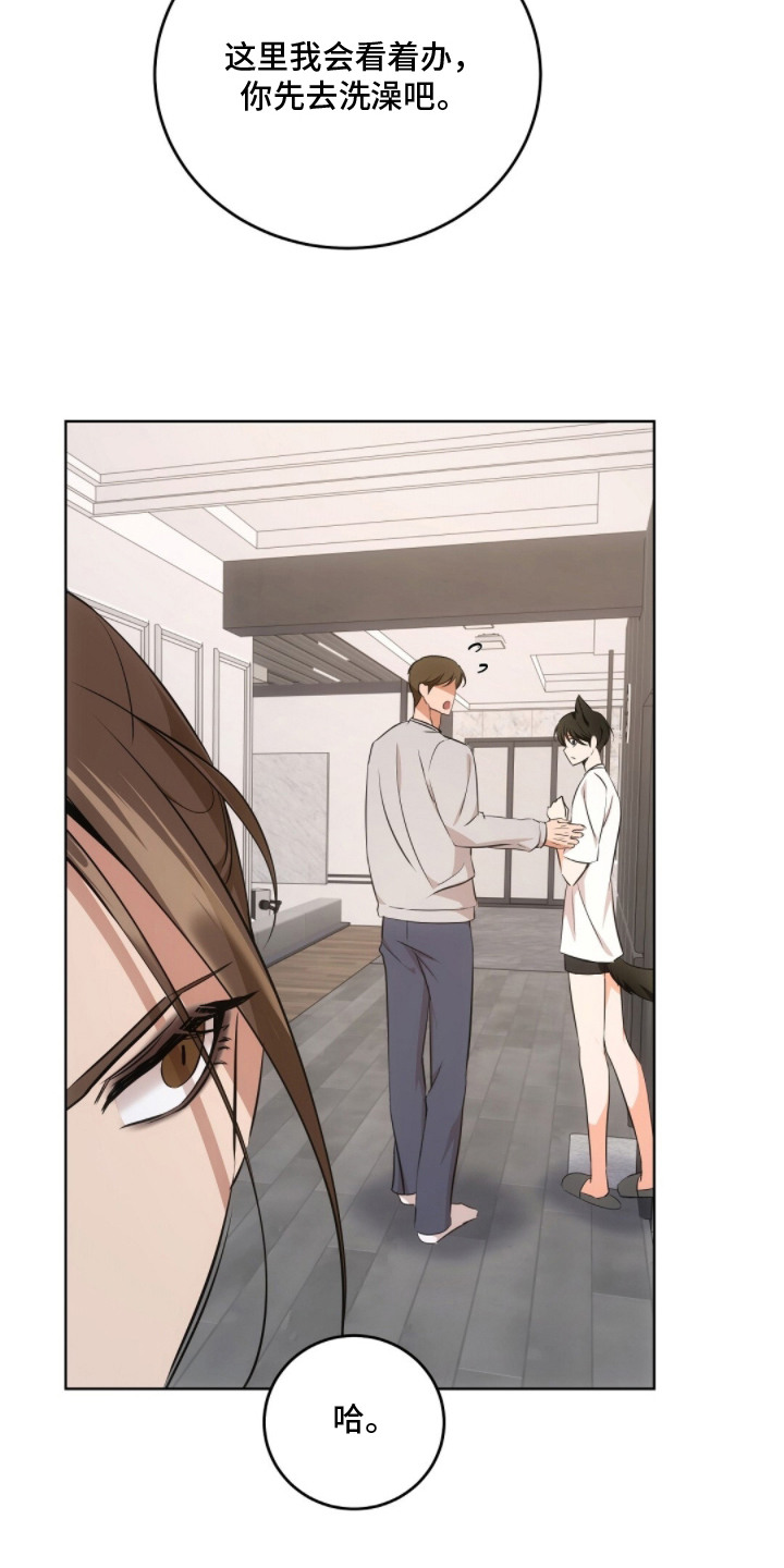 我的黑猫少年解析漫画,第13章：争吵5图