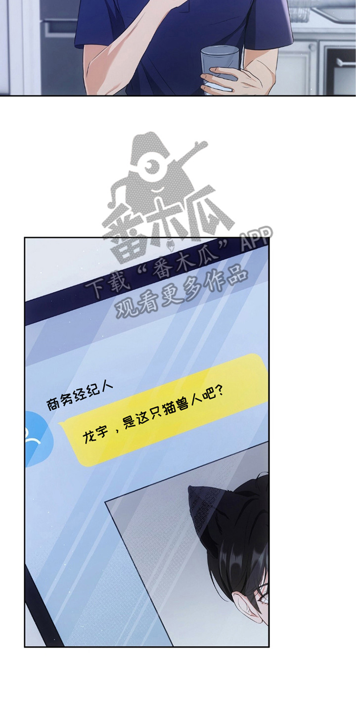 我的黑猫少年解析漫画,第10章：新闻舆论5图