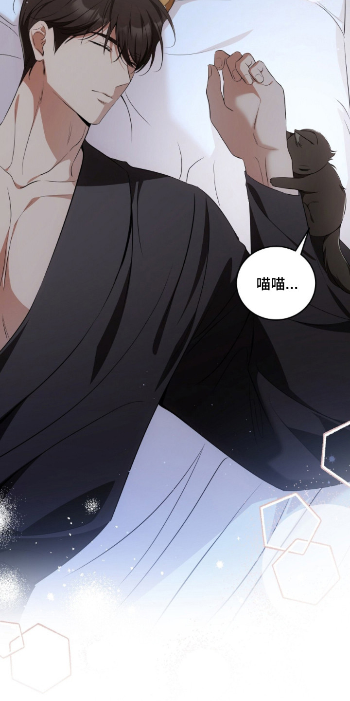 我的黑猫少年解析漫画,第17章：下意识3图