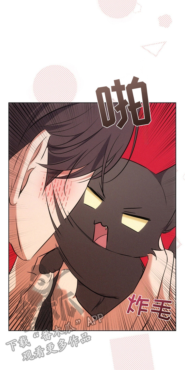 第15章：认真考虑3