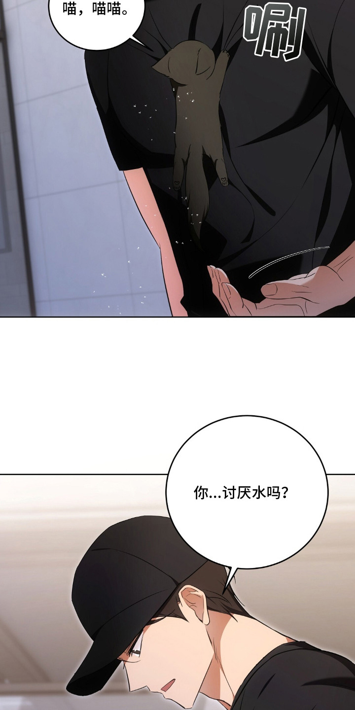 我的黑猫少年漫画,第16章：不情不愿3图