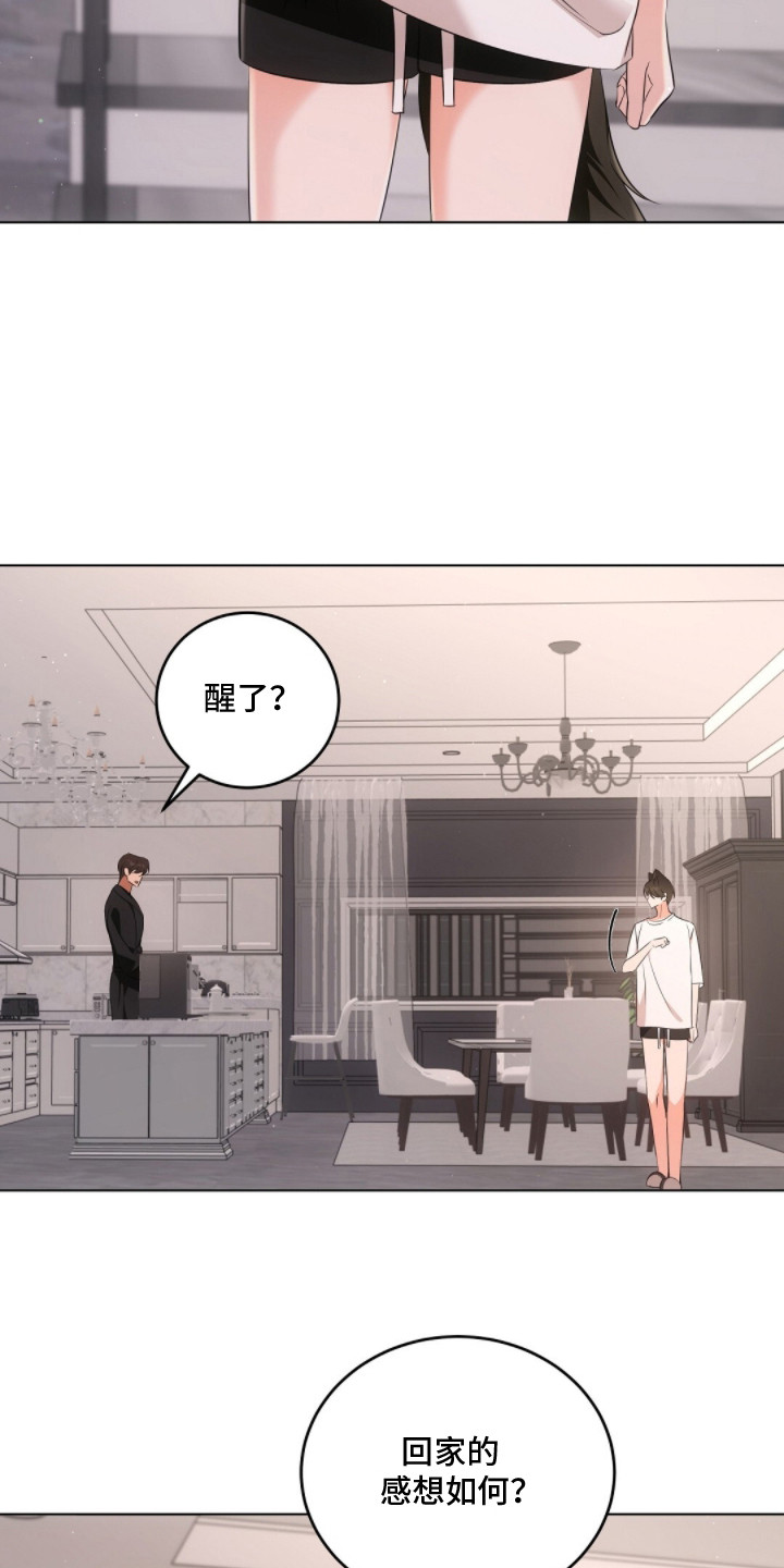 我的黑猫少年解析漫画,第17章：下意识1图