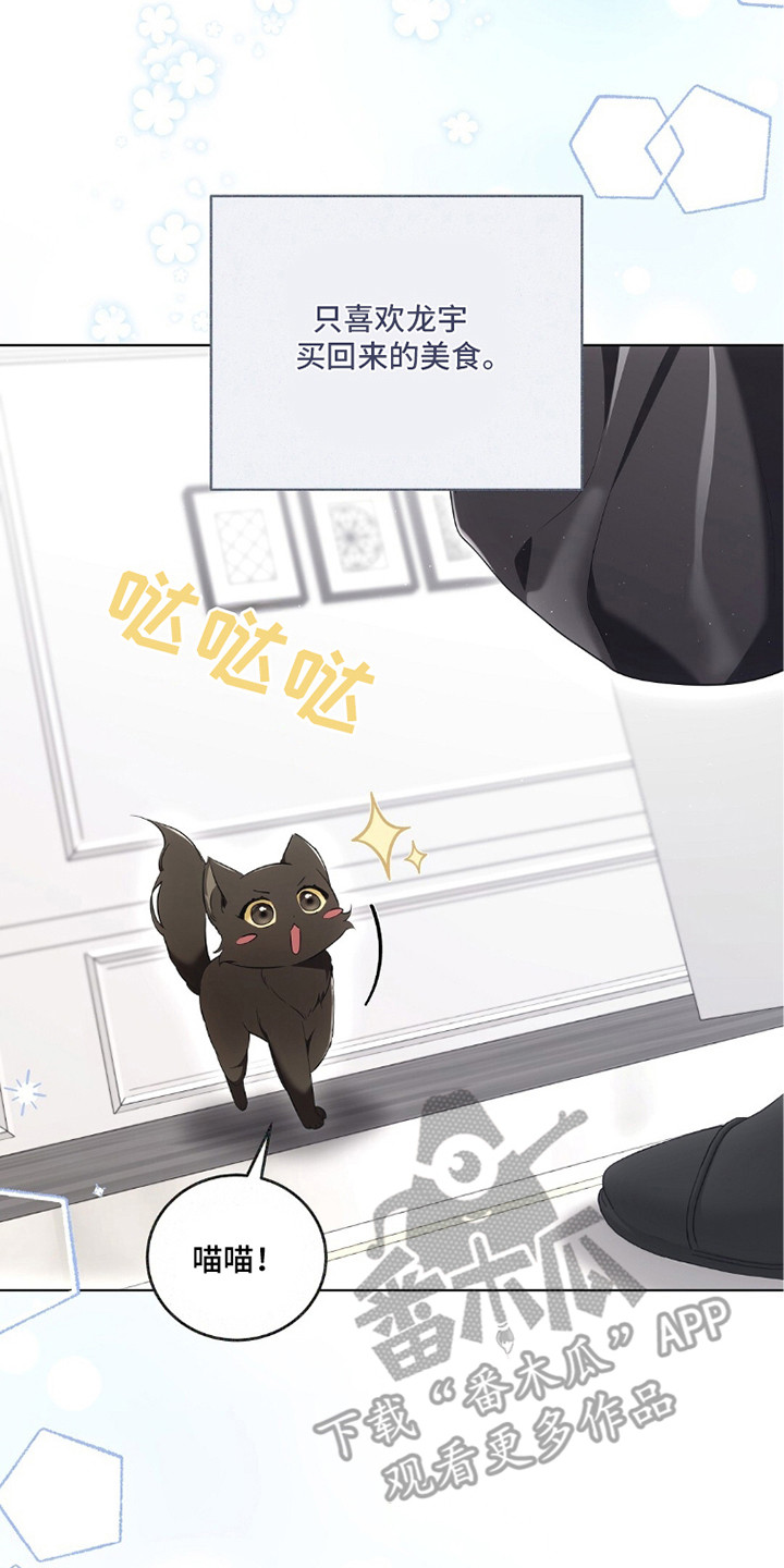 我的黑猫少年漫画,第20章：忙碌4图