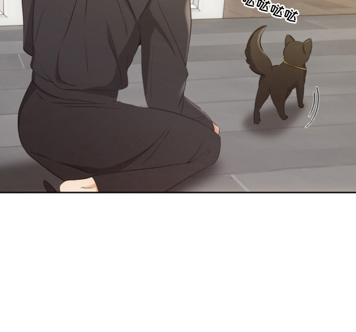 我的黑猫少年解析漫画,第6章：肢体语言4图