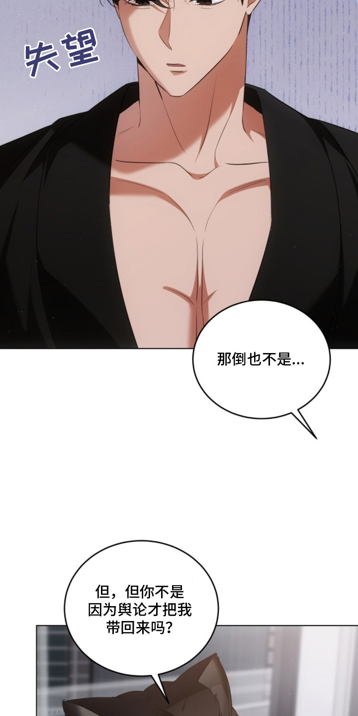 我的黑猫少年漫画,第18章：照片5图