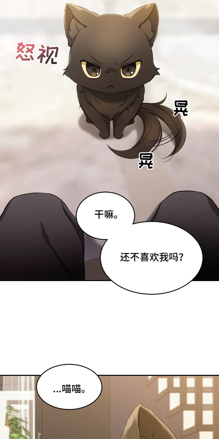 第4章：适应新领域0