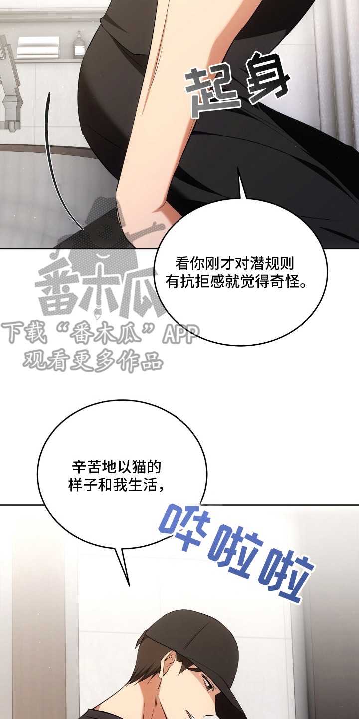 第15章：认真考虑2