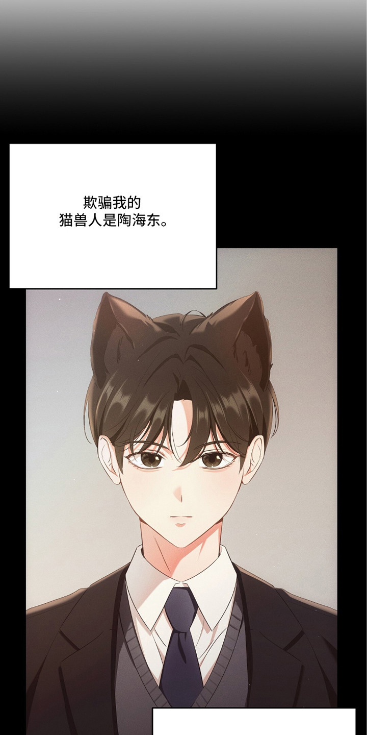 我的黑猫少年解析漫画,第10章：新闻舆论2图