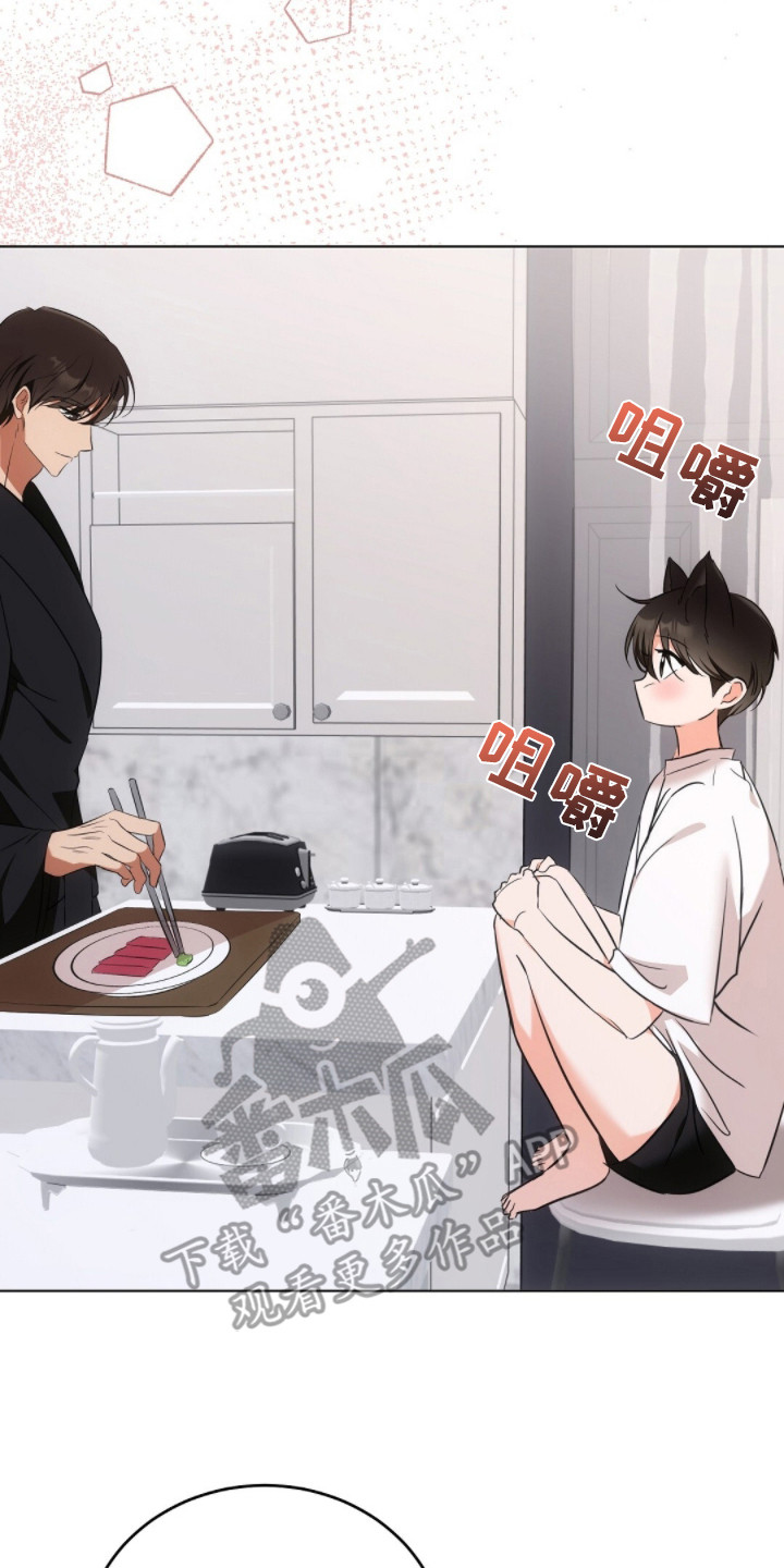 我的黑猫少年漫画,第19章：风向转变4图