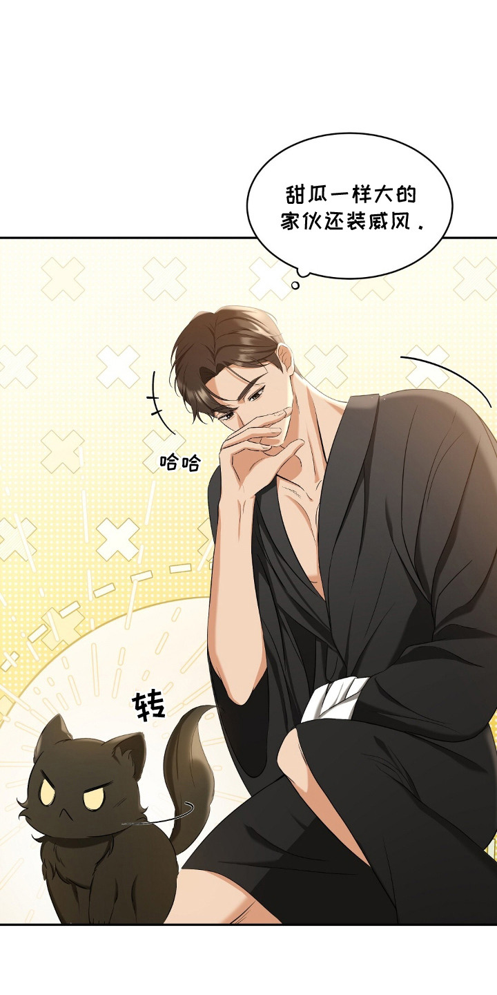 第4章：适应新领域0