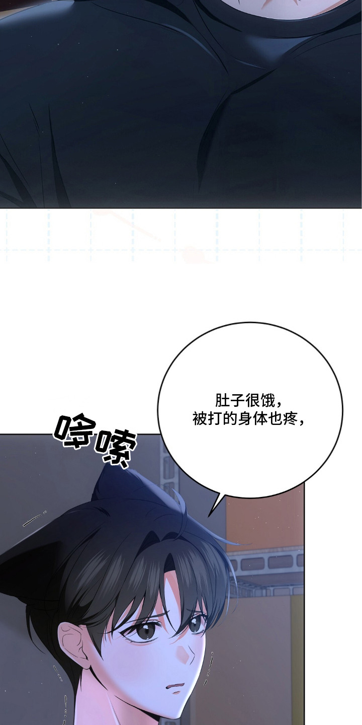 我的黑猫少年漫画,第11章：找到了1图