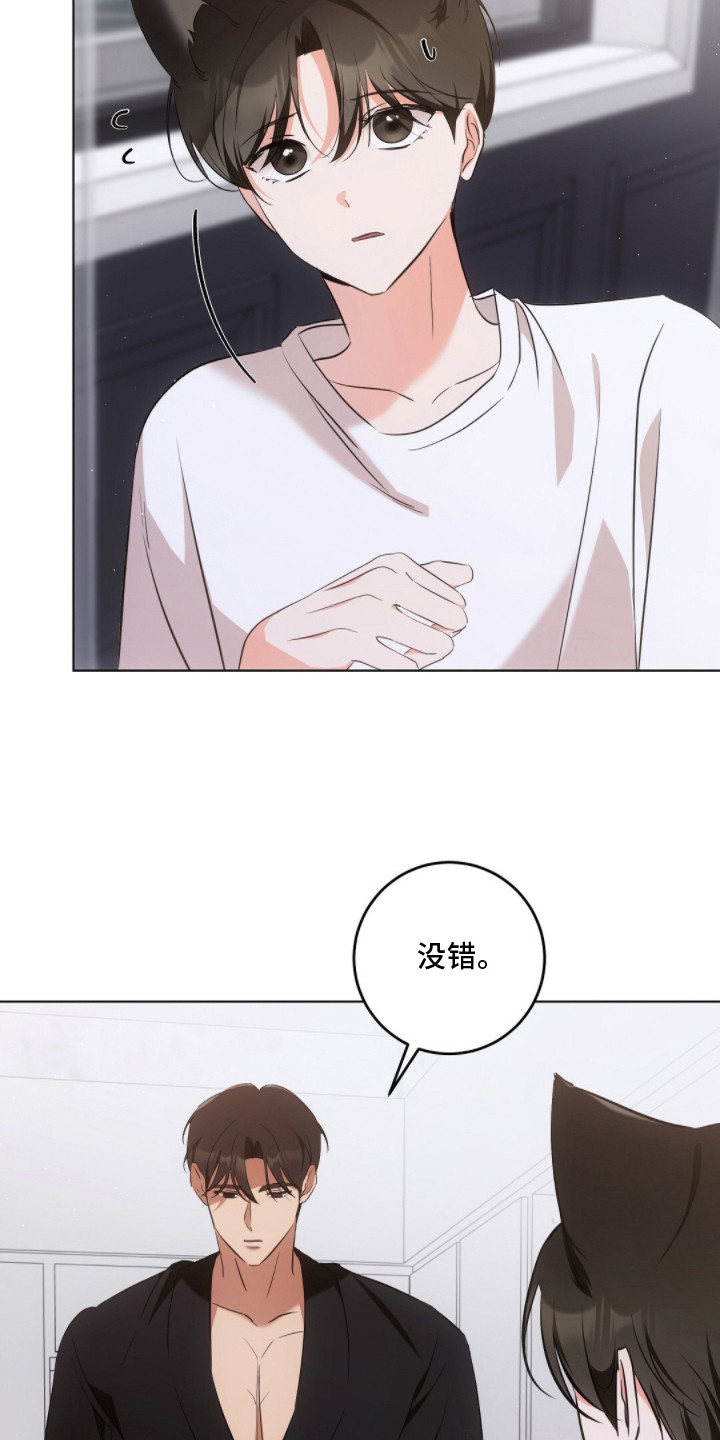 我的黑猫少年漫画,第18章：照片1图