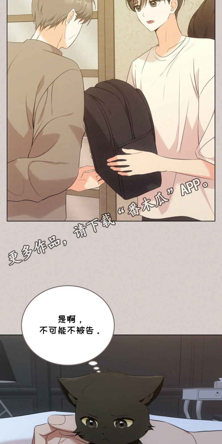 我的黑帮少爷泰剧漫画,第17章：下意识4图