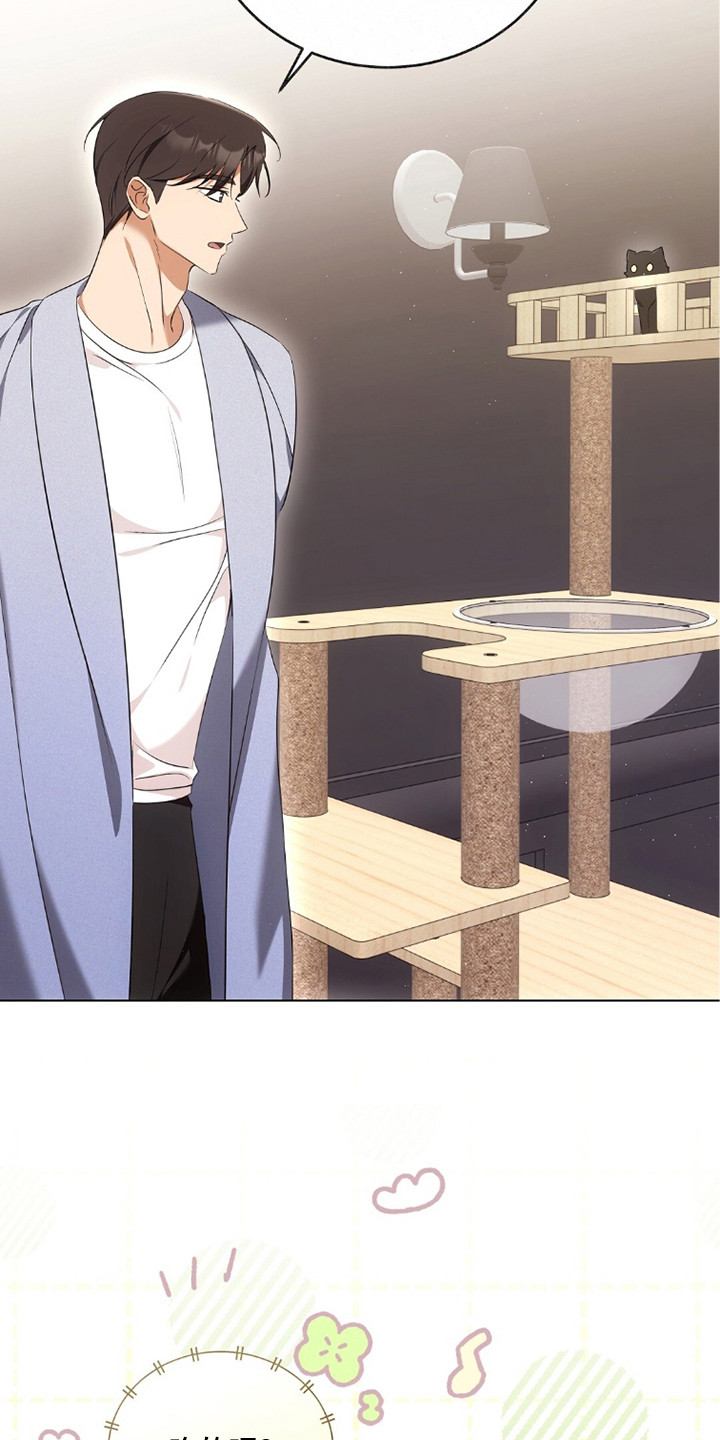 我的黑猫少年漫画,第20章：忙碌1图