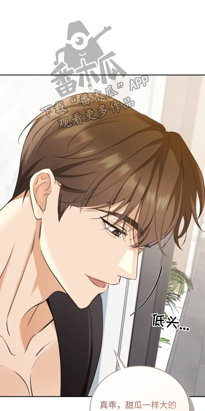 我的黑猫少年解析漫画,第6章：肢体语言1图