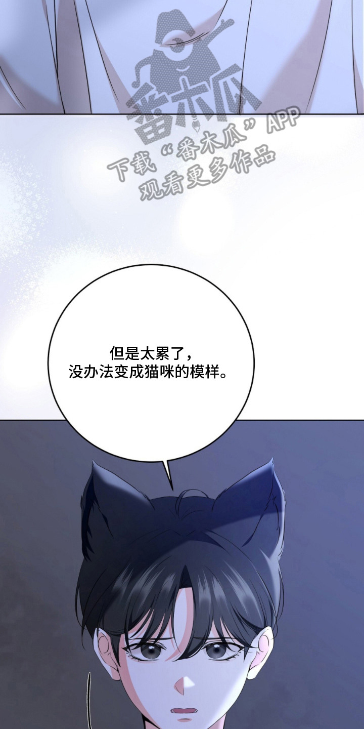 第12章：解决问题3