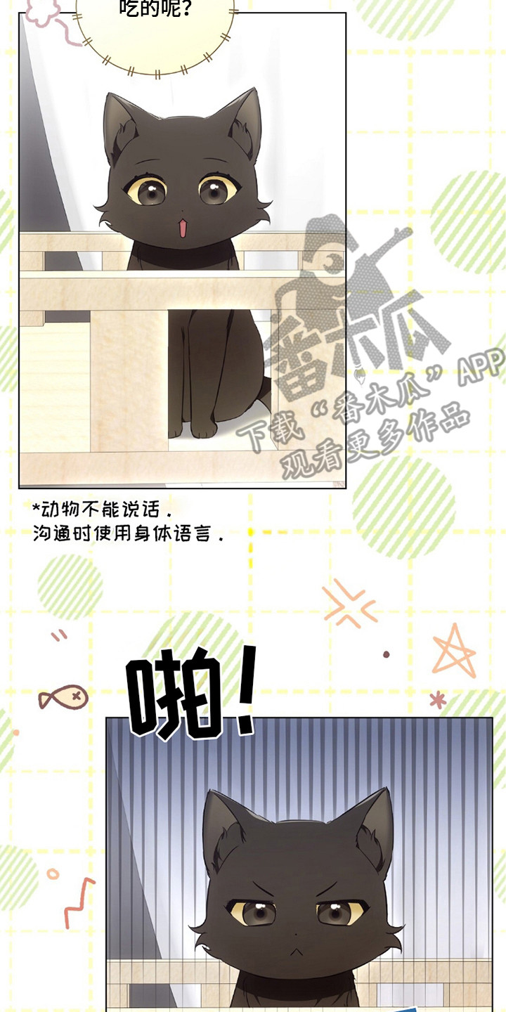 我的黑猫少年漫画,第20章：忙碌2图