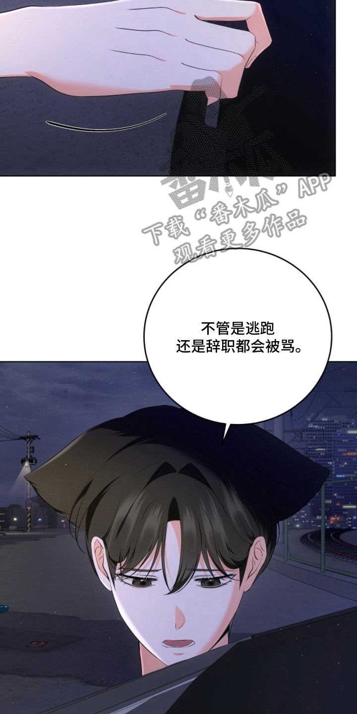 我的黑猫少年漫画,第12章：解决问题5图