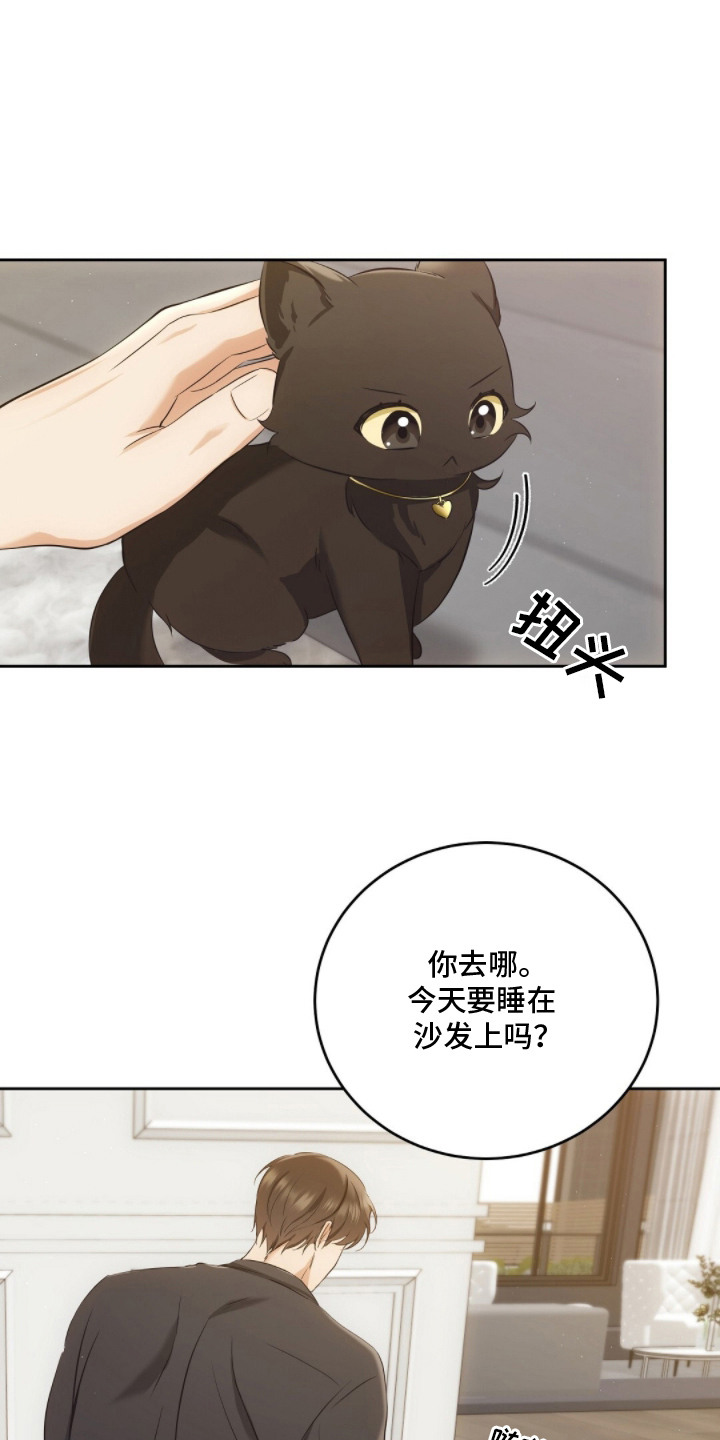 我的黑猫少年解析漫画,第6章：肢体语言3图