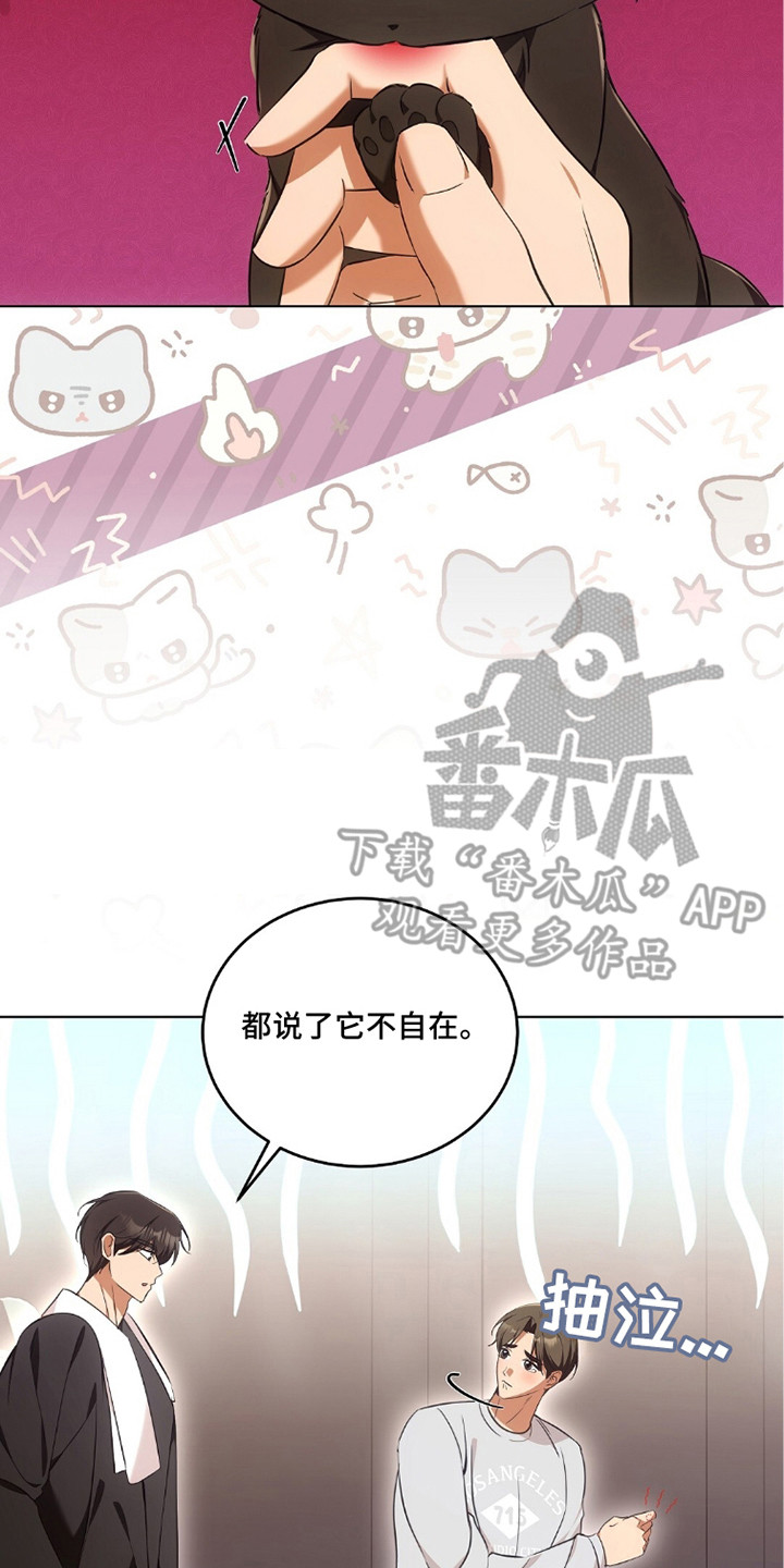 我的黑色小短裙漫画,第21章：撒娇4图