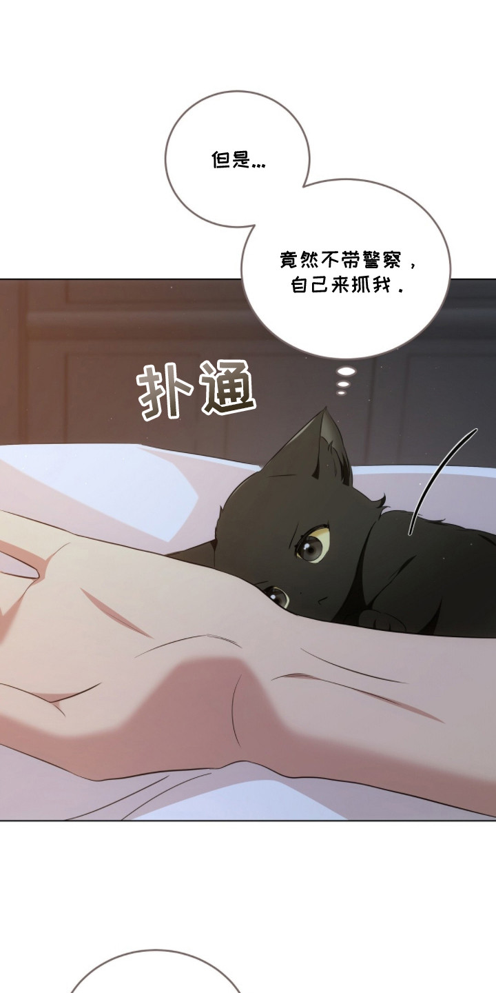 我的黑猫少年解析漫画,第17章：下意识1图
